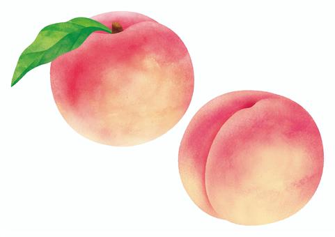 そして第二章 元痔主 Sirielのブログ