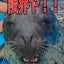 ムンおばちゃんのサムネイル