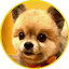 画像 ♡愛犬ルルとの小さな幸せ記録♡のユーザープロフィール画像