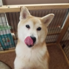 瀬戸雑魚釣り師のプロフィール