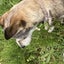 Nagomiのサムネイル