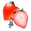 いちご🍓のサムネイル