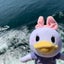タコまる日記のサムネイル