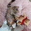 ө•)桃色都NU第二愚区のサムネイル