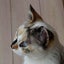 ちぃのサムネイル
