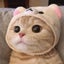 にゃん子のサムネイル