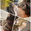 hitomiのサムネイル