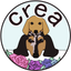 CREAのサムネイル