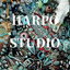 画像 HARPO(ハルポ/アルポ)専門の通販店『ハルポスタジオ』ショップブログのユーザープロフィール画像