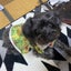 みらくるのサムネイル