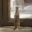 ずぼらのサムネイル