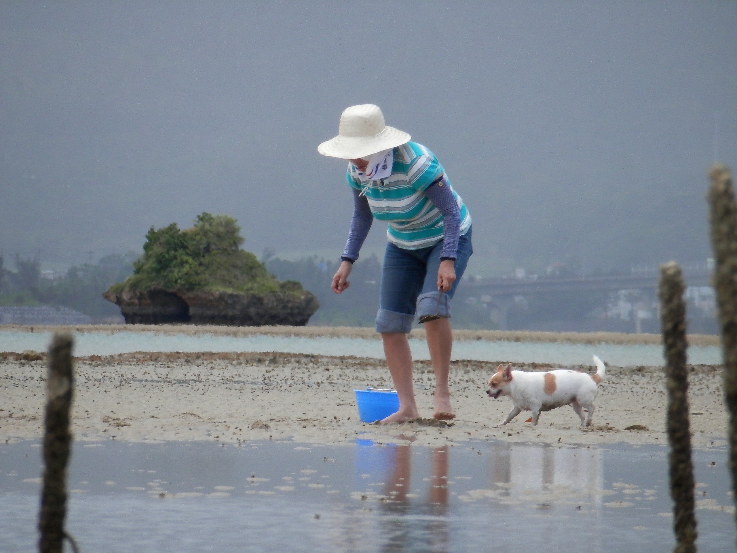 「生き方がうまい人のことわざの知恵」より セミナー講師 仲宗根加代子のブログ