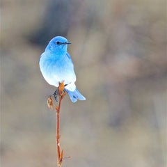 fuumaBLのプロフィール