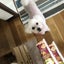 つこのサムネイル