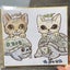 画像 きゅうりの亀と（時々）猫の徒然日誌のユーザープロフィール画像