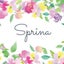 画像 SPRiNA　オフィシャルサイトのユーザープロフィール画像