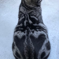 judyのプロフィール