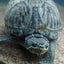 ハナヤンのサムネイル
