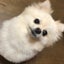 yurinaのサムネイル