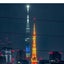 画像 中島健人君大好きのユーザープロフィール画像