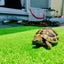 レプ僧のサムネイル