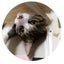 Sumisenのサムネイル