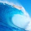 家庭教師 WAVEのサムネイル