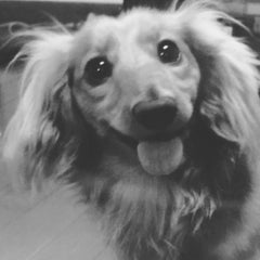 しゅんのプロフィール