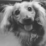 しゅんのプロフィール