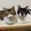 14のサムネイル