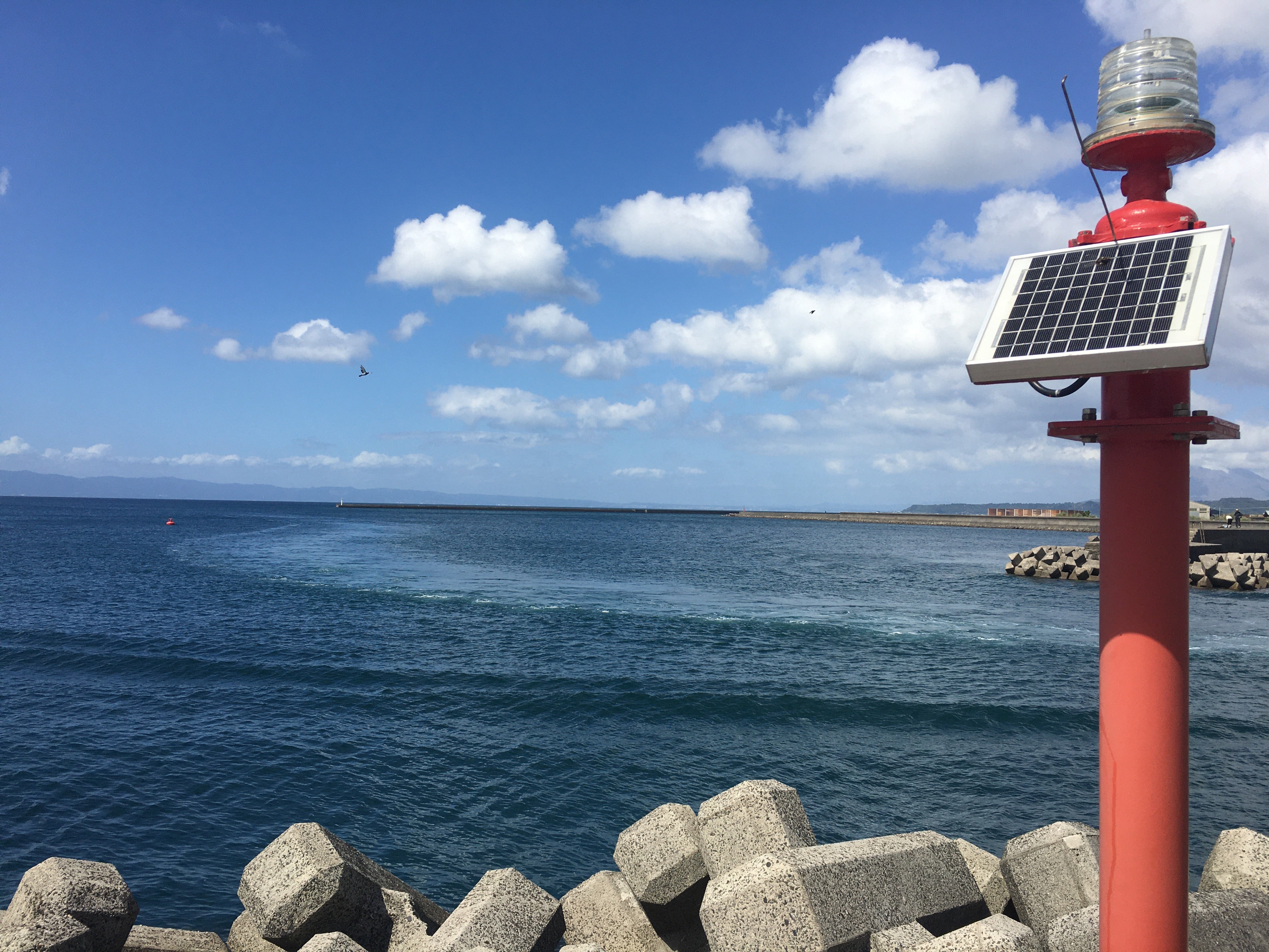 熊本県水俣市梅戸港左側堤防を散歩してます | 海に行く前に