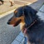 hakohのサムネイル
