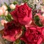 お花のメッセンジャーのサムネイル