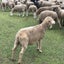 不登校の気持ちのサムネイル
