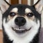 まろまろのサムネイル