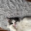 t☆mのブログのサムネイル