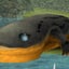 ネジムの主のサムネイル