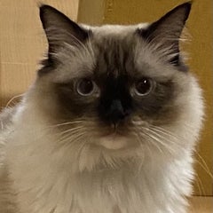 文四郎の「一日一文」のプロフィール