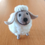 うっちーのサムネイル