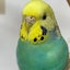 そらのサムネイル