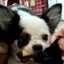 kotaro.comのサムネイル
