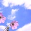3児mama〜KinakoのHappyDiary〜のサムネイル
