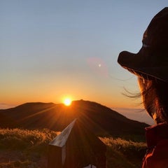 takoのプロフィール
