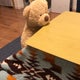 annamiwaのおすすめのサムネイル