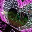 t-seven1228のサムネイル