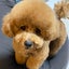 yoshimaro14のサムネイル