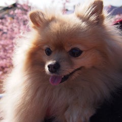maririnのプロフィール