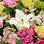 kの母/mrsleiomyosarcomaのサムネイル