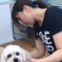 山本智里＠ワンだふるシニアライフコンサルタントのプロフィール