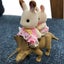 koharuのサムネイル